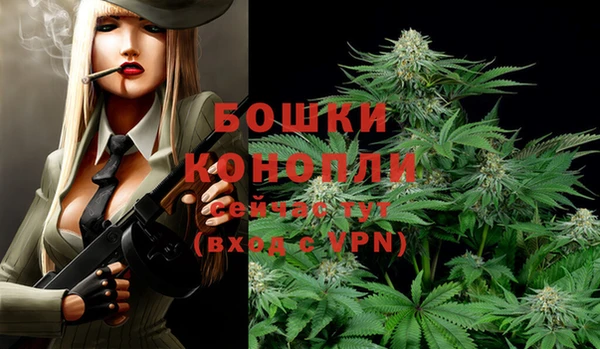 амф Надым