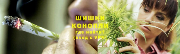 ПСИЛОЦИБИНОВЫЕ ГРИБЫ Навашино