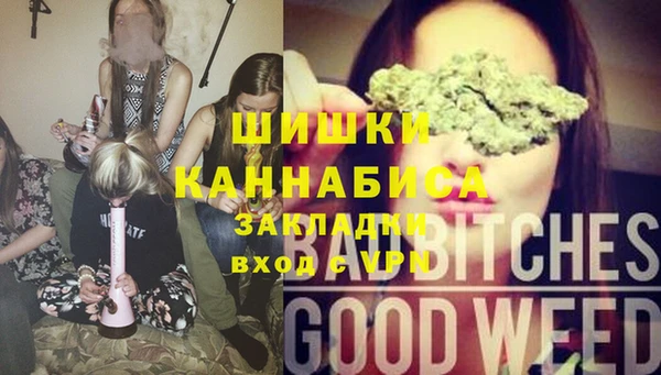 амф Надым