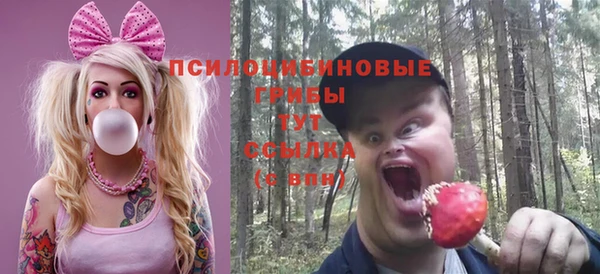 амф Надым