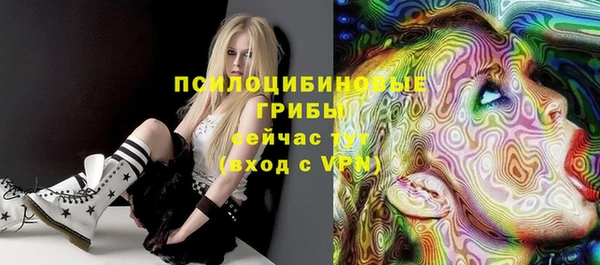 ПСИЛОЦИБИНОВЫЕ ГРИБЫ Навашино