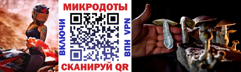 Галлюциногенные грибы Magic Shrooms  Дятьково 