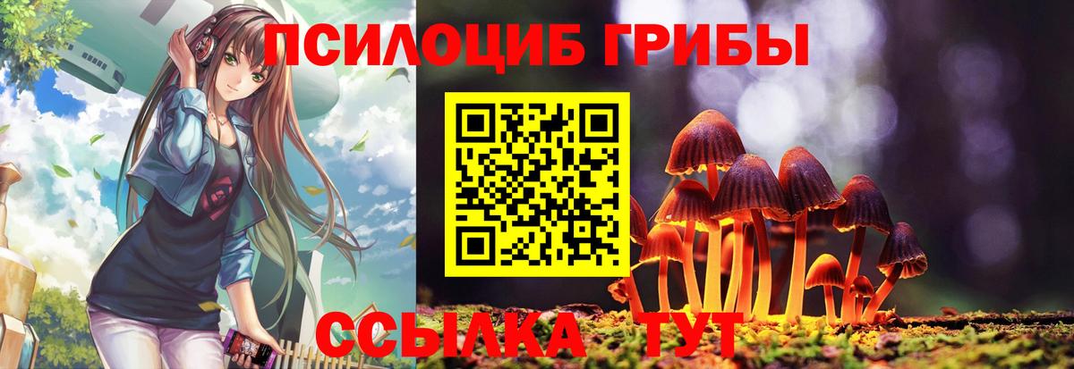 Псилоцибиновые грибы GOLDEN TEACHER Дятьково