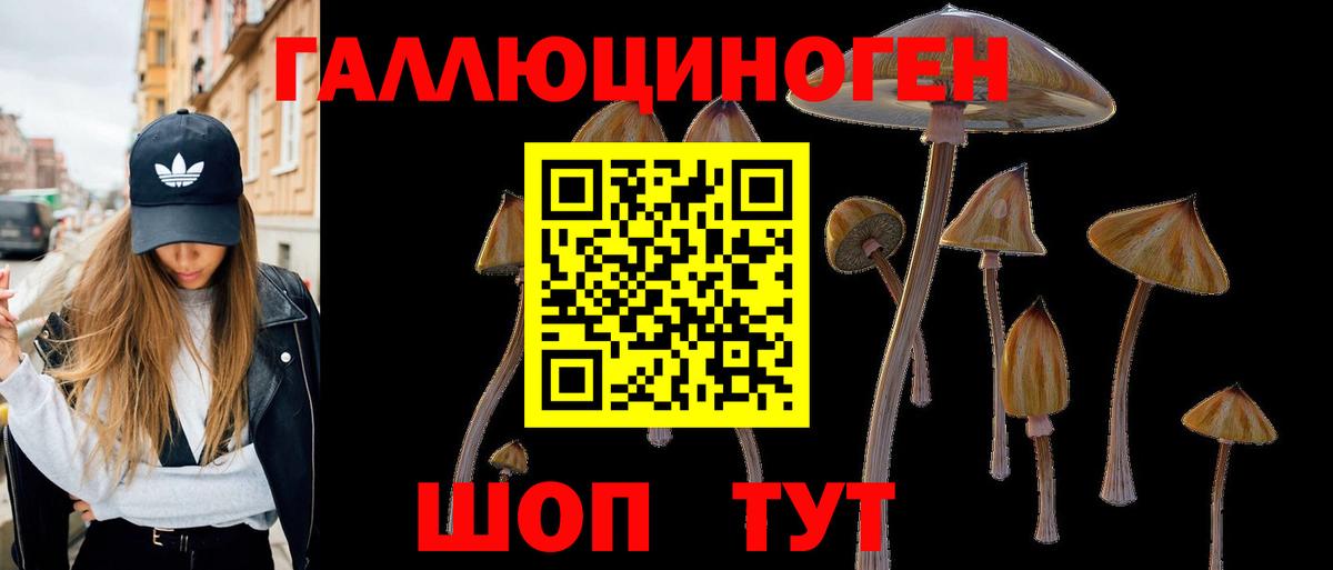 Дятьково  Псилоцибиновые грибы GOLDEN TEACHER  Вход с VPN  Галлюциногенные грибы Magic Shrooms 