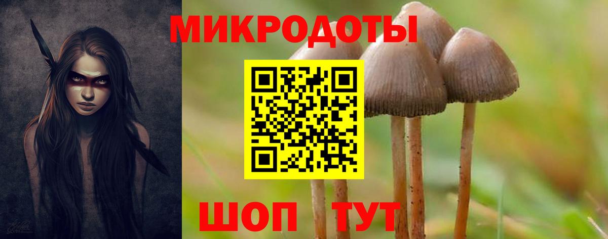 купить  цена  Псилоцибиновые грибы Psilocybine cubensis  Дятьково  Псилоцибиновые грибы Magic Shrooms 